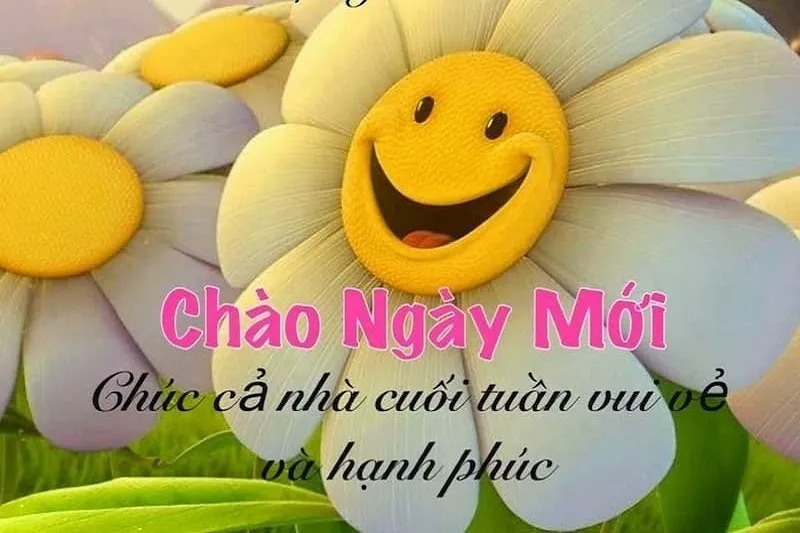 Gửi bạn lời chúc ngày mới đầy năng lượng