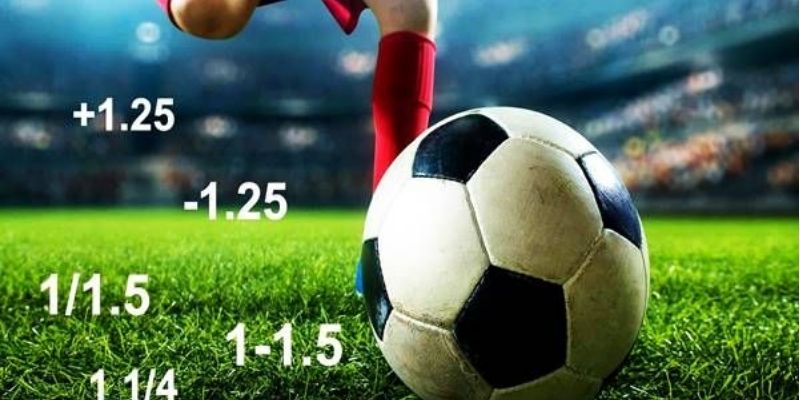 Mẹo chơi kèo chấp 1.25 hiệu quả cùng Mig8 Mẹo chơi kèo chấp 1.25 hiệu quả cùng Mig8